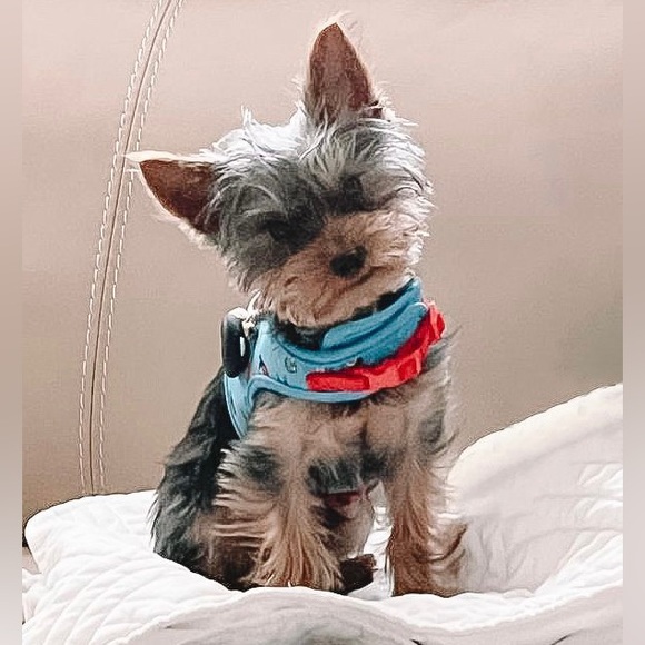 Meet your Posher, Nancy - Picture 2 of 5